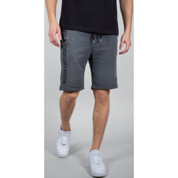 Alpha Industries Big Letters Shorts, gris, taille 3XL pour Hommes