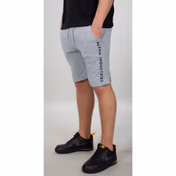 Alpha Industries AI Sweat Shorts, gris, taille XL pour Hommes
