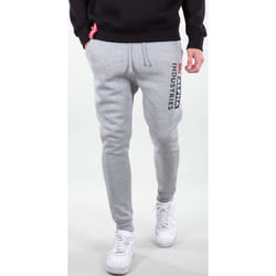 Alpha Industries Block-Logo Pantalon de survêtement, gris, taille 2XL pour Hommes