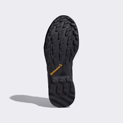 Adidas Terrex Swift R2 GTX Mâle Adulte Noir