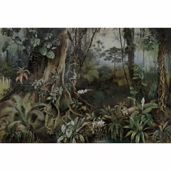 Papier Peint Panoramique Au Cœur De La Jungle