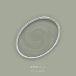 Peinture murale verte mate The Color Kitchen Sane Sage Dispersion exclusive pour intérieur Haute intensité de 5 litres