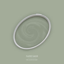 Peinture murale verte mate The Color Kitchen Sane Sage Dispersion exclusive pour intérieur Haute intensité de 5 litres