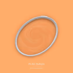 Peinture murale orange mat The Color Kitchen Pure Papaya Dispersion exclusive pour intérieur Haut pouvoir couvrant 2.5 litres