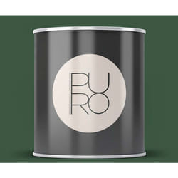 As Creation - Peinture citron vert doux mat moderne et résistante Peinture satinée facile à appliquer Peinture puro Premium C6000 1L - Vert