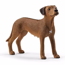 schleich Farm World Chien de Rhodésie à crête dorsale, 3 an(s), Multicolore, Plastique, 1 pièce(s)