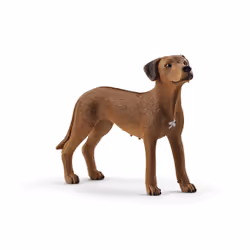 schleich Farm World Chien de Rhodésie à crête dorsale
