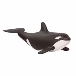 schleich WILD LIFE Jeune orque, 3 an(s), Multicolore, Plastique, 1 pièce(s)