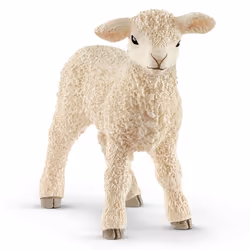 schleich Farm World Agneau, 3 an(s), Multicolore, Plastique