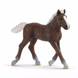 schleich Farm World Poulain Forêt Noire, 3 an(s), Multicolore, Plastique
