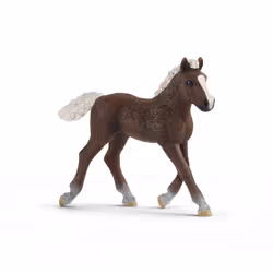 schleich Farm World Poulain Forêt Noire