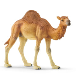 schleich WILD LIFE Dromadaire