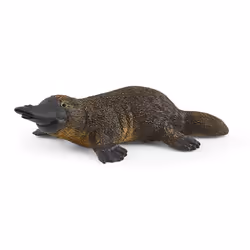 schleich WILD LIFE Ornithorynque, 3 an(s), Noir, Marron, 1 pièce(s)