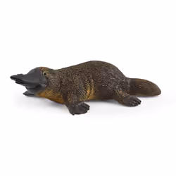 schleich WILD LIFE Ornithorynque