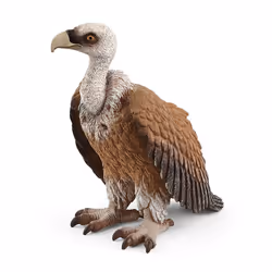 schleich WILD LIFE Vautour, 3 an(s), Multicolore, 1 pièce(s)