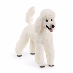 schleich Farm World Caniche