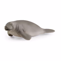 schleich WILD LIFE Lamantin, 3 an(s), Gris