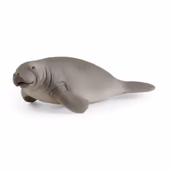 schleich WILD LIFE Lamantin