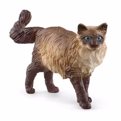 schleich FARM WORLD Chat Ragdoll, 3 an(s), Marron