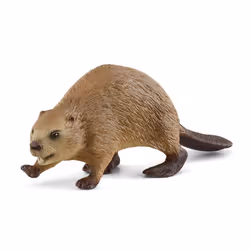 schleich WILD LIFE Castor, 3 an(s), Marron
