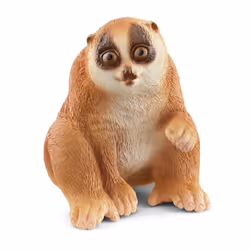 schleich WILD LIFE Nycticèbe, 3 an(s), Marron