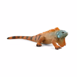 schleich WILD LIFE Iguane, 3 an(s), Multicolore