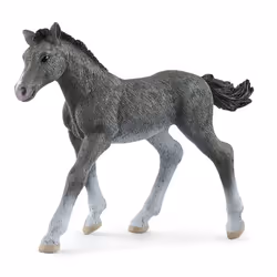 schleich HORSE CLUB Poulain Trakehnen, 5 an(s), Gris