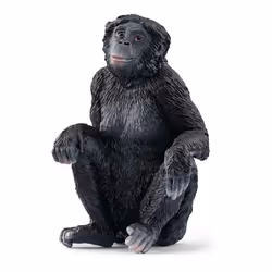 schleich WILD LIFE 14875, 3 an(s), Noir