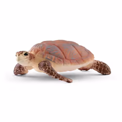 schleich WILD LIFE 14876, 3 an(s), Marron