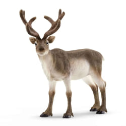 14837 - WILD LIFE Renne Schleich