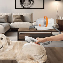 Tondeuse pour chien Amesbury blanc orange