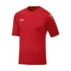 Maillot Jako Team