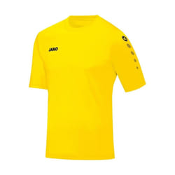 Maillot enfant Jako Team