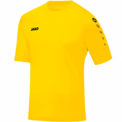 Maillot Jako Team