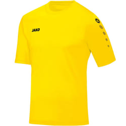 Maillot Jako Team