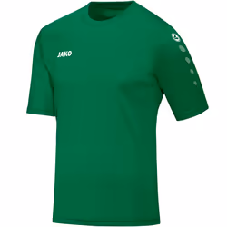 Maillot Jako Team