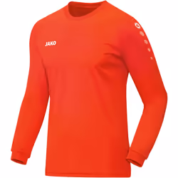 Maillot enfant Jako Team manches longues
