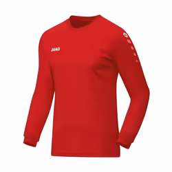 Maillot Jako Team manches longues
