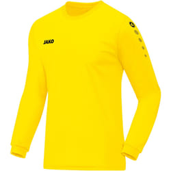 Maillot enfant Jako Team manches longues