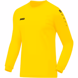 Maillot enfant Jako Team manches longues