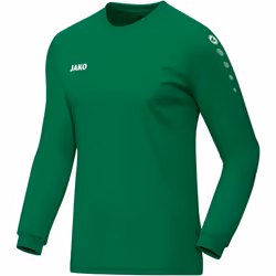Maillot enfant Jako Team manches longues