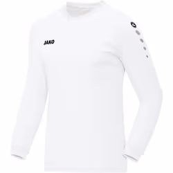 Maillot enfant Jako Team manches longues