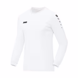 Maillot Jako Team manches longues