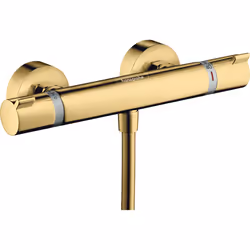 Hansgrohe 13116990, Douche, Or