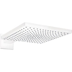 douche de tête Raindance E 300 Air 1jet, avec bras de douche,
