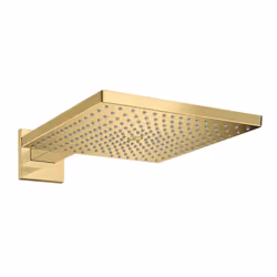 Douche de tête Raindance E, 1 jet avec bras de douche aspect doré poli