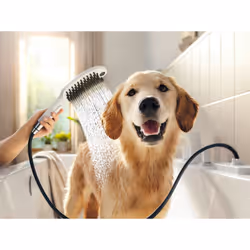 Hansgrohe DogShower Pommeau de douche Blanc