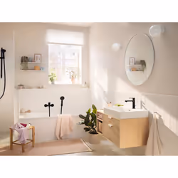 Hansgrohe 24110000 non classé