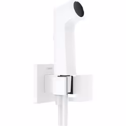hansgrohe 1 x Bidette douchette à main design anguleux pour eau froide fonction support de douche intégrée tourbillon côté do ...
