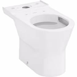 hansgrohe EluPura Original S 1 x WC au sol Détails du produit au sol, fixation visible pour réservoir de chasse deau apparent ...